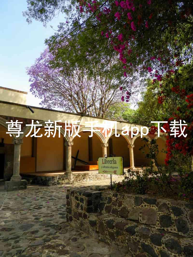 尊龙新版手机app下载